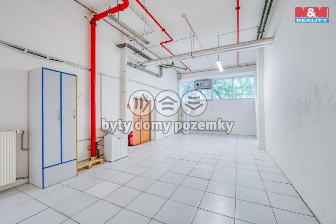 Pronájem, Obchod a služby, Plzeň