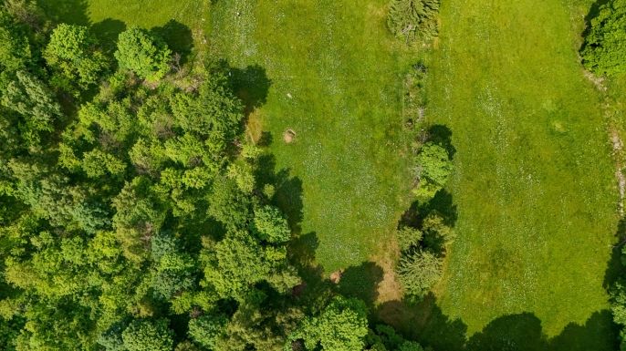 Prodej, Pozemek k bydlení, Blatno