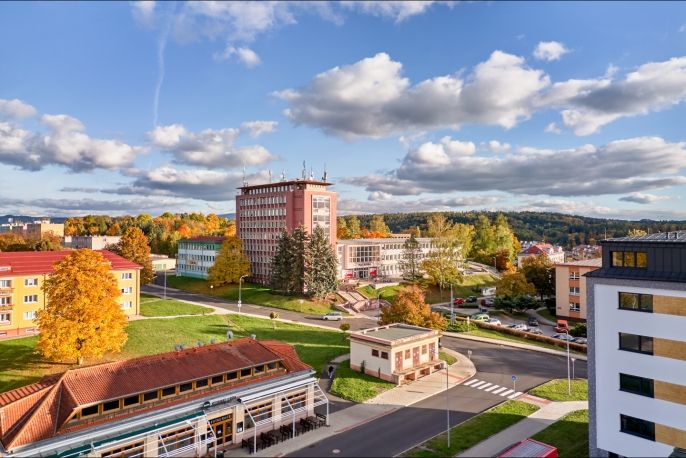 Pronájem, Obchodní objekt, Ostrov