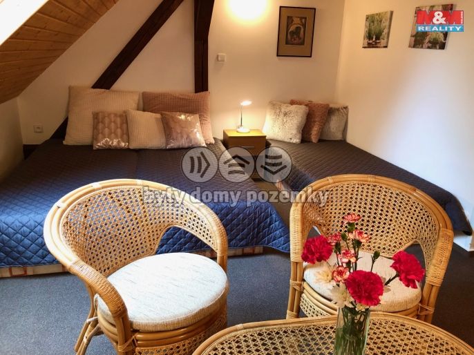 Prodej, Hotel, penzion, Česká Skalice