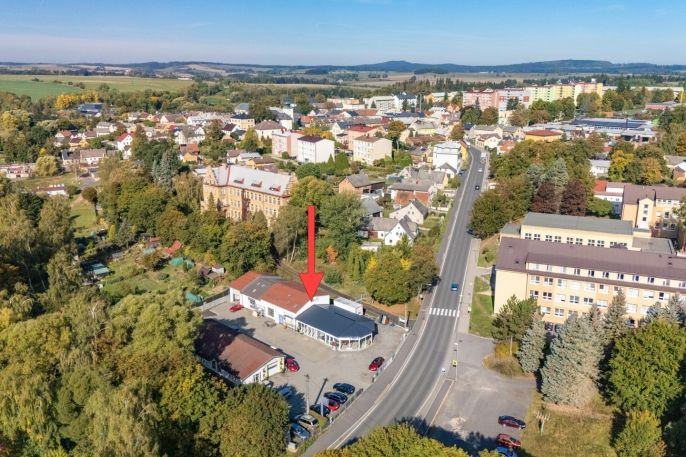 Prodej, Obchod a služby, Toužim