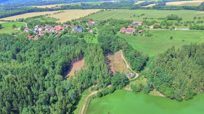 Prodej, Les, Ohnišov