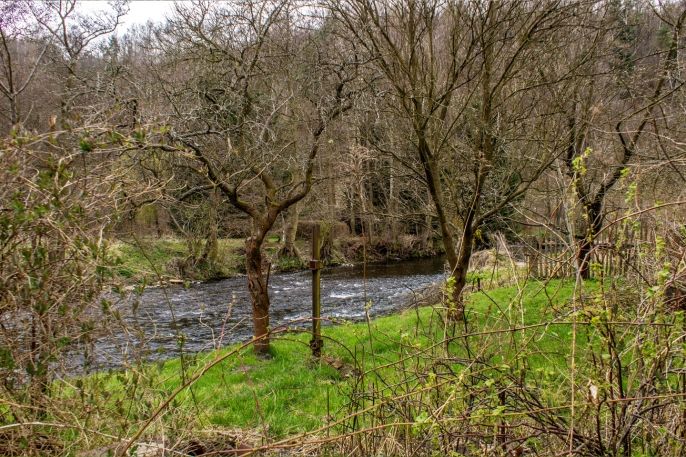 Pronájem, Zahrada, Chrastava