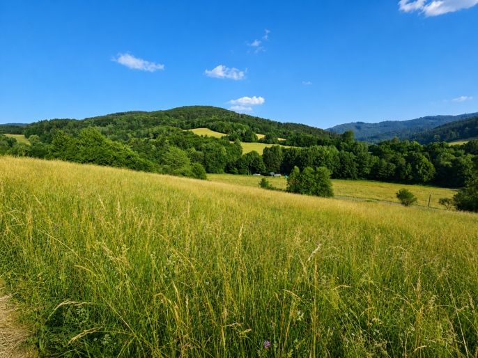 Prodej, Louka, Lužná