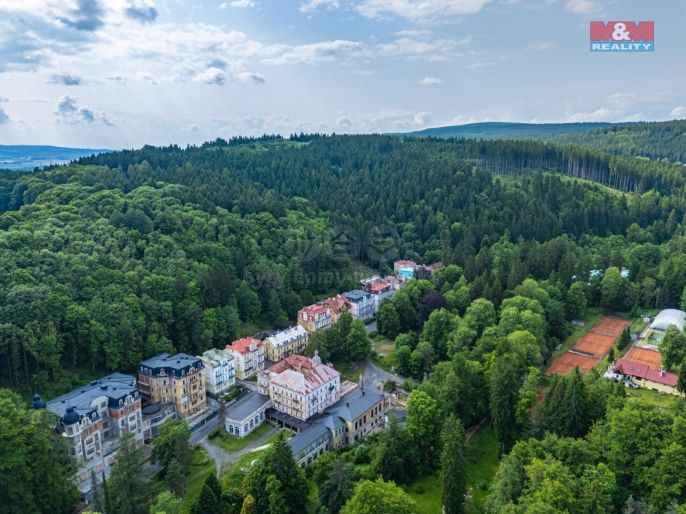 Prodej, Atypický byt, Mariánské Lázně