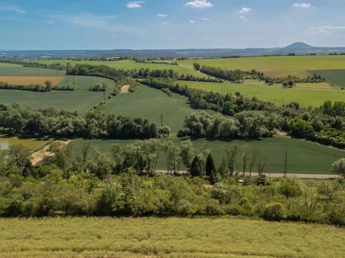 Prodej, Zahrada, Hoštka