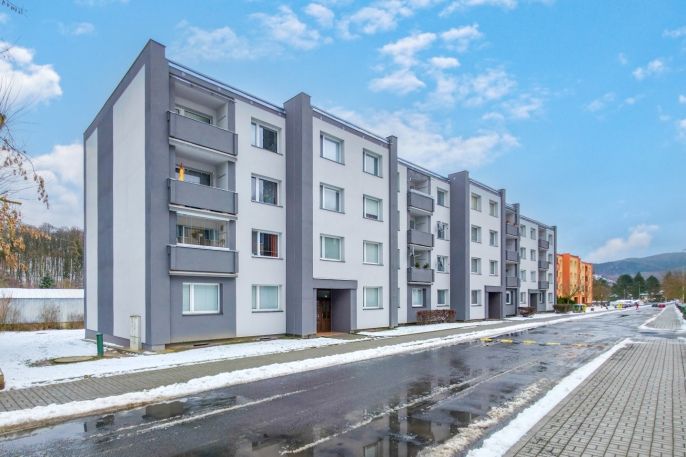 Prodej, Byt 1+1, Loket