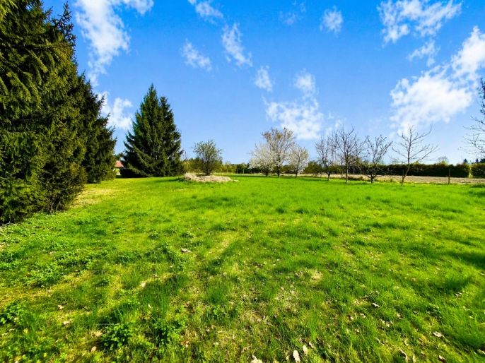 Prodej, Zahrada, Bělušice