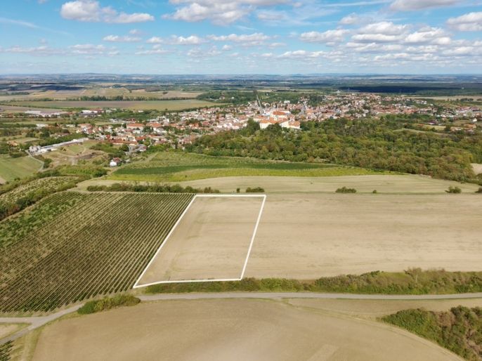Prodej, Pole, Valtice