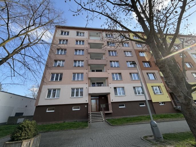 Pronájem, Byt 1+1, Louny