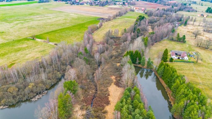 Prodej, Vodní plocha, Dvory nad Lužnicí