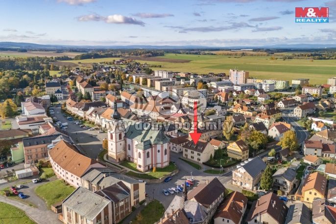 Pronájem, Obchod a služby, Bor