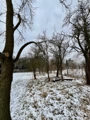 Prodej, Pozemek k bydlení, Vratimov