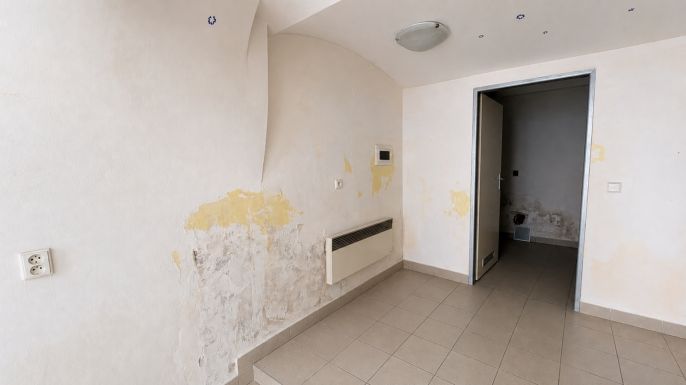 Pronájem, Obchod a služby, Litomyšl