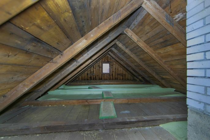 Prodej, Chata, Plešnice