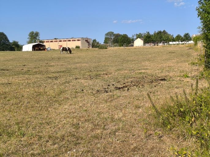 Prodej, Louka, Hoslovice