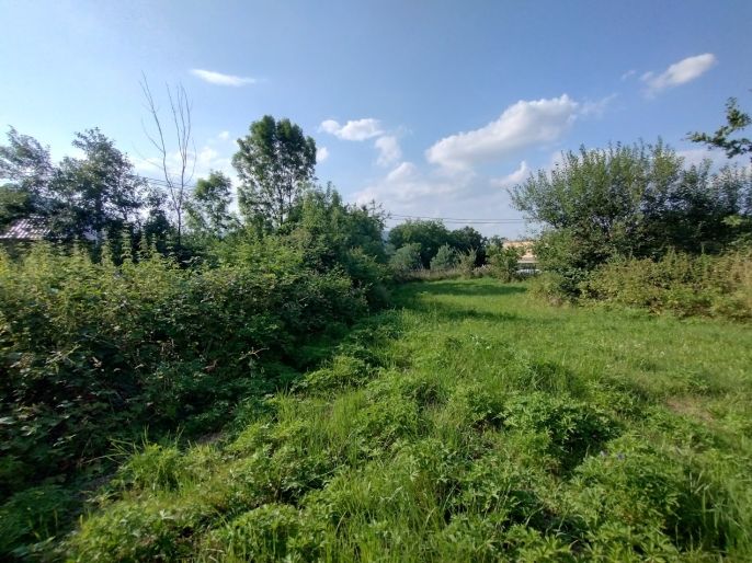 Prodej, Pozemek k bydlení, Vražné