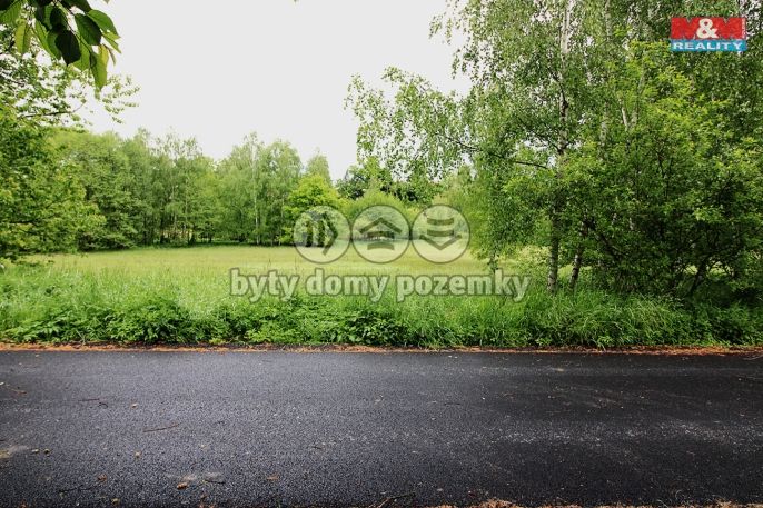 Prodej, Pozemek k bydlení, Zruč nad Sázavou