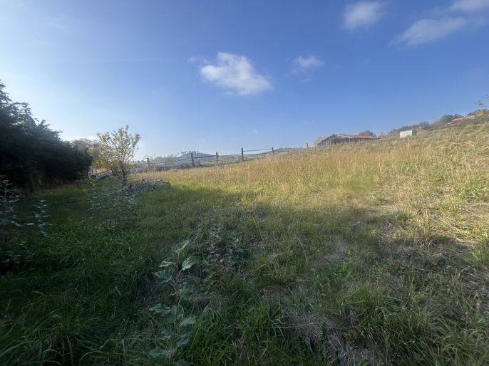 Prodej, Pozemek k bydlení, Čížová