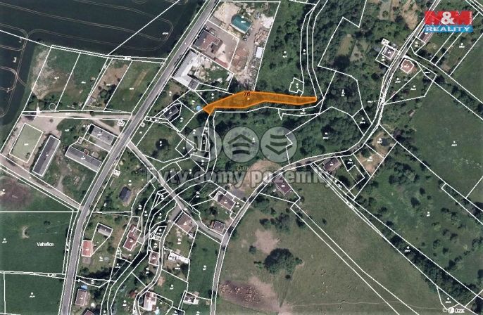 Prodej, Les, Žandov