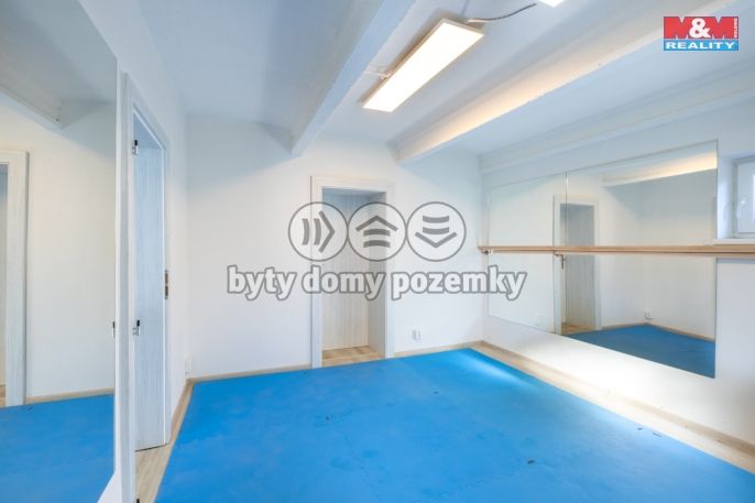 Pronájem, Obchod a služby, Louny