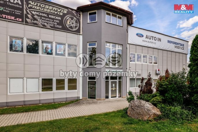 Pronájem, Obchod a služby, Třemošná