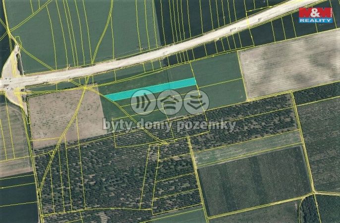 Prodej, Ovocný sad, Slaný