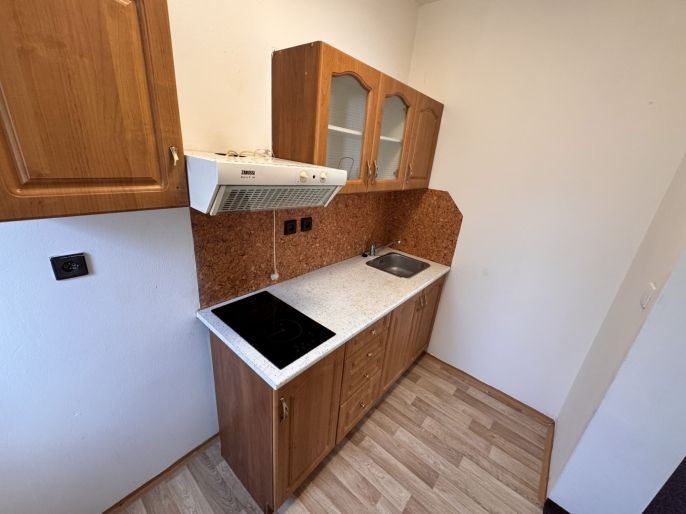 Pronájem, Byt 1+1, Jinočany