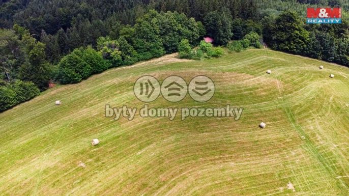 Prodej, Louka, Prlov