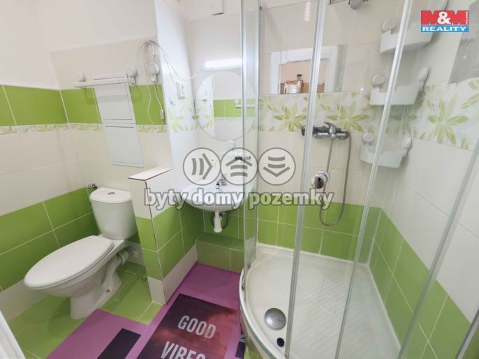 Prodej, Byt 2+1, Karviná