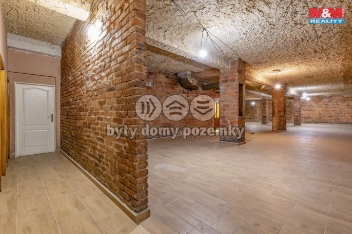 Pronájem, Restaurace, stravování, Třinec