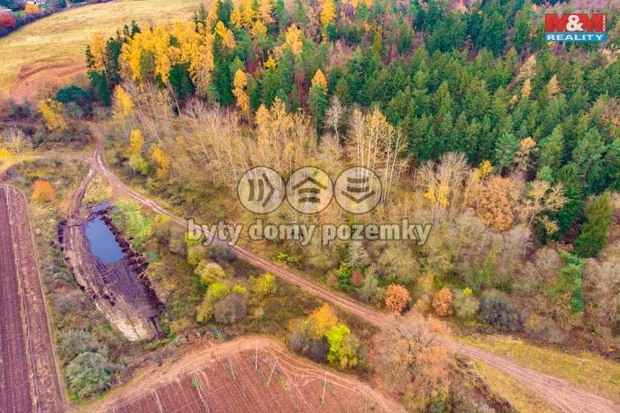 Prodej, Les, Tuchořice