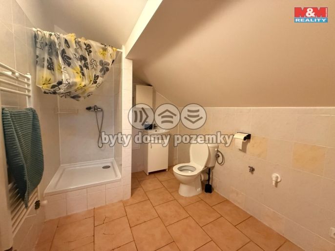 Pronájem, Restaurace, stravování, Vilémov