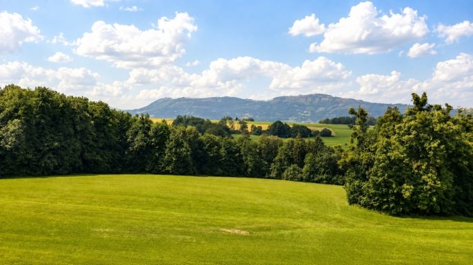 Prodej, Louka, Frýdlant nad Ostravicí
