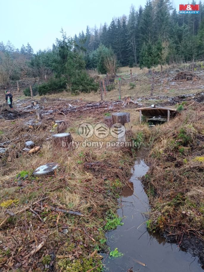 Prodej, Les, Vacovice