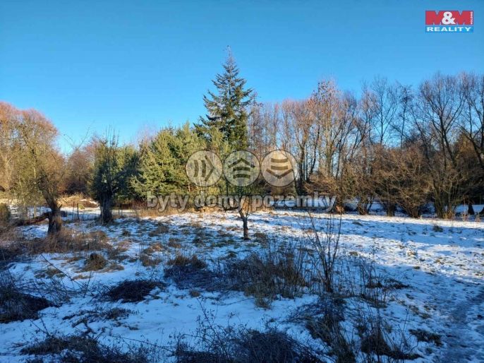 Prodej, Zahrada, Kořenice