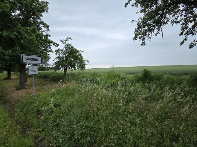 Prodej, Pole, Záhornice