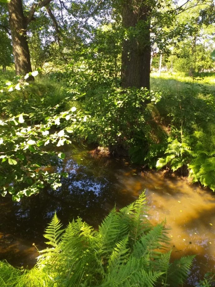 Prodej, Chalupa, Rumburk