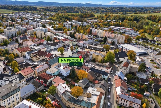 Prodej, Obchod a služby, Rychnov nad Kněžnou