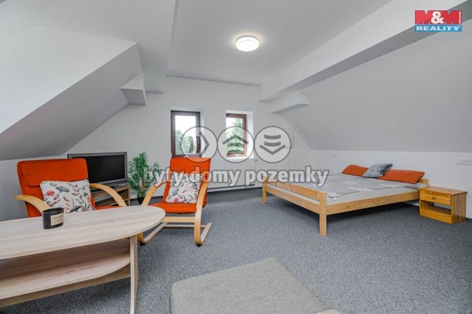 Prodej, Hotel, penzion, Rokytnice v Orlických horách