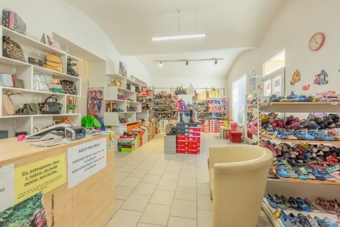 Pronájem, Obchod a služby, Slaný