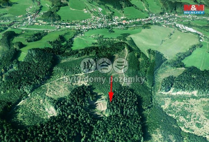 Prodej, Les, Lhota u Vsetína