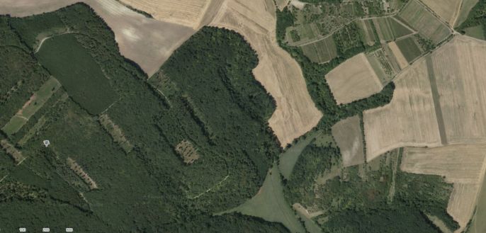 Prodej, Les, Klobouky u Brna