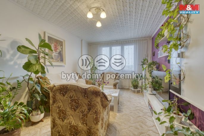 Prodej, Byt 2+1, Bor