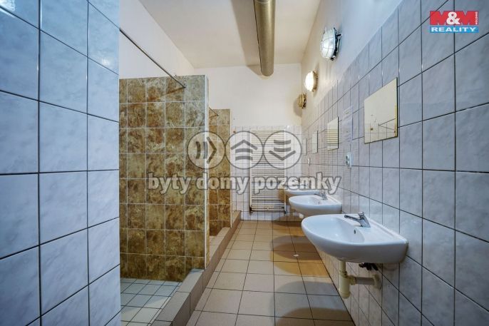 Prodej, Hotel, penzion, Rokycany