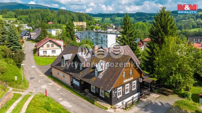 Prodej, Hotel, penzion, Rokytnice nad Jizerou