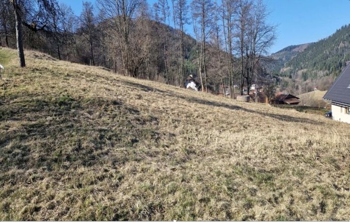 Prodej, Pozemek k bydlení, Lidečko