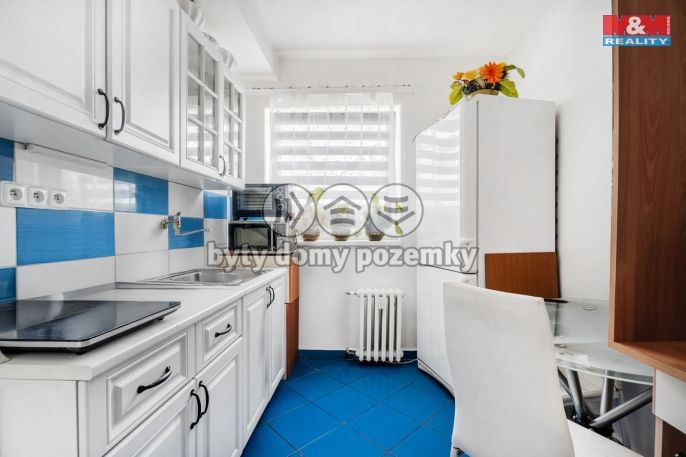 Prodej, Byt 1+1, Dolní Poustevna