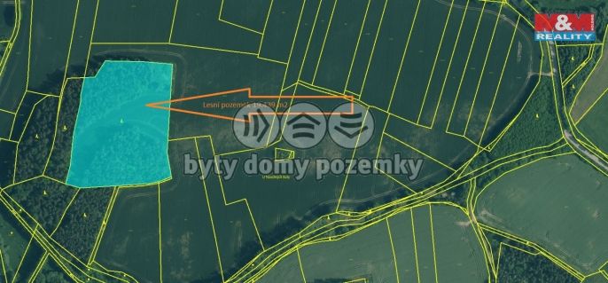 Prodej, Les, Střelské Hoštice