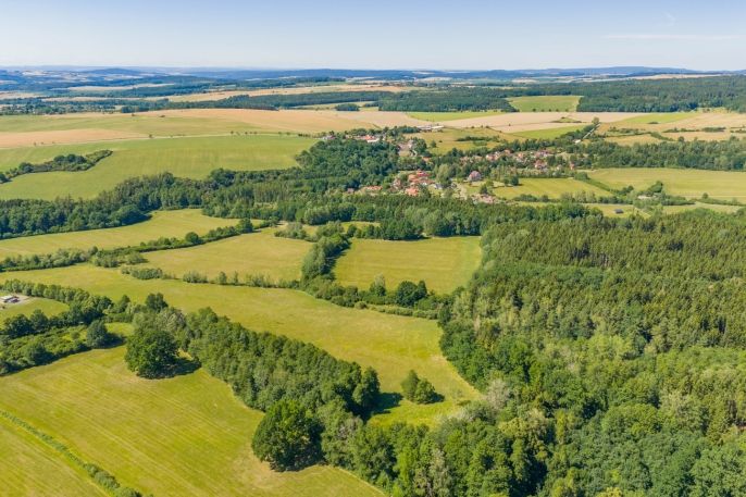 Prodej, Louka, Louňová